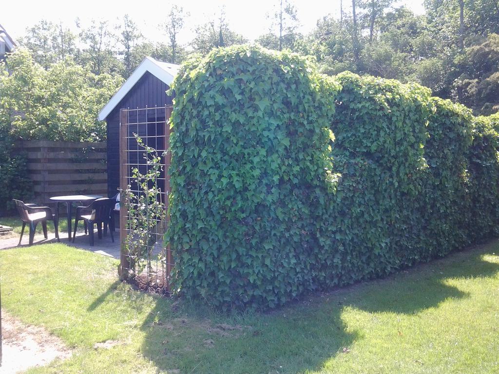 Bed&Breakfast Meinsma Moddergat Exterior foto